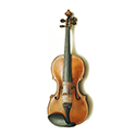 violin