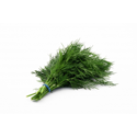 Click to enlarge dill