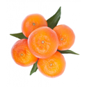 Click to enlarge mandarins