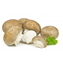 Click to enlarge mushrooms