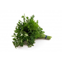 parsley